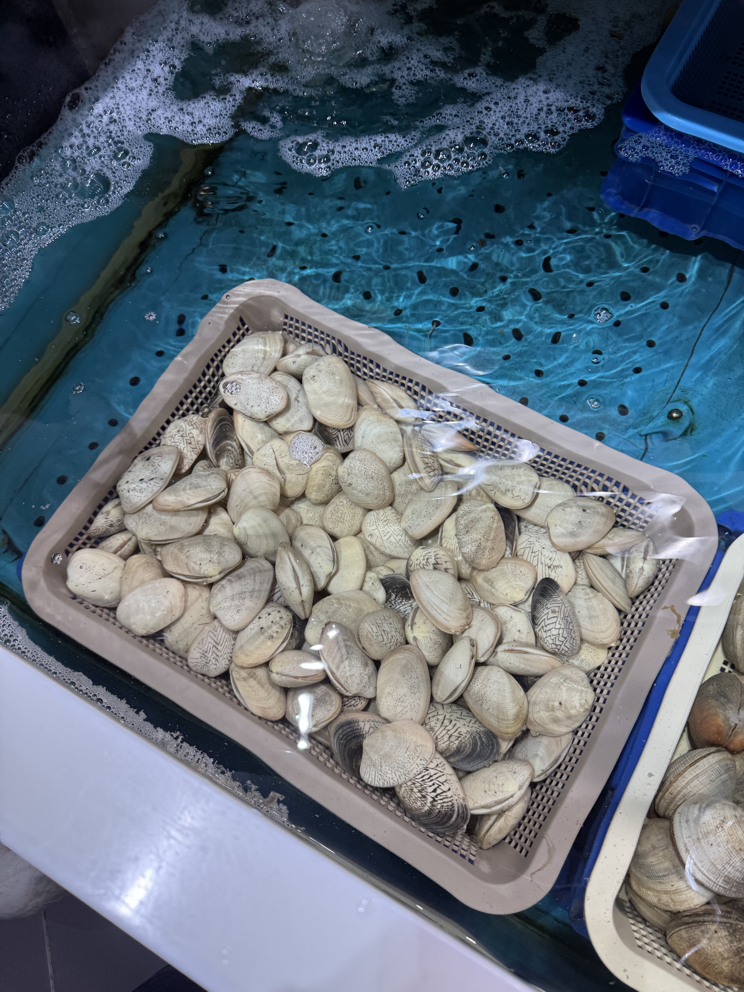 Korean Clam Soup Recipe (Clear Seafood Soup) Img 3582