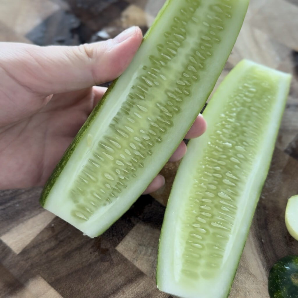 Fresh cucumber cut in half before removing the seeds