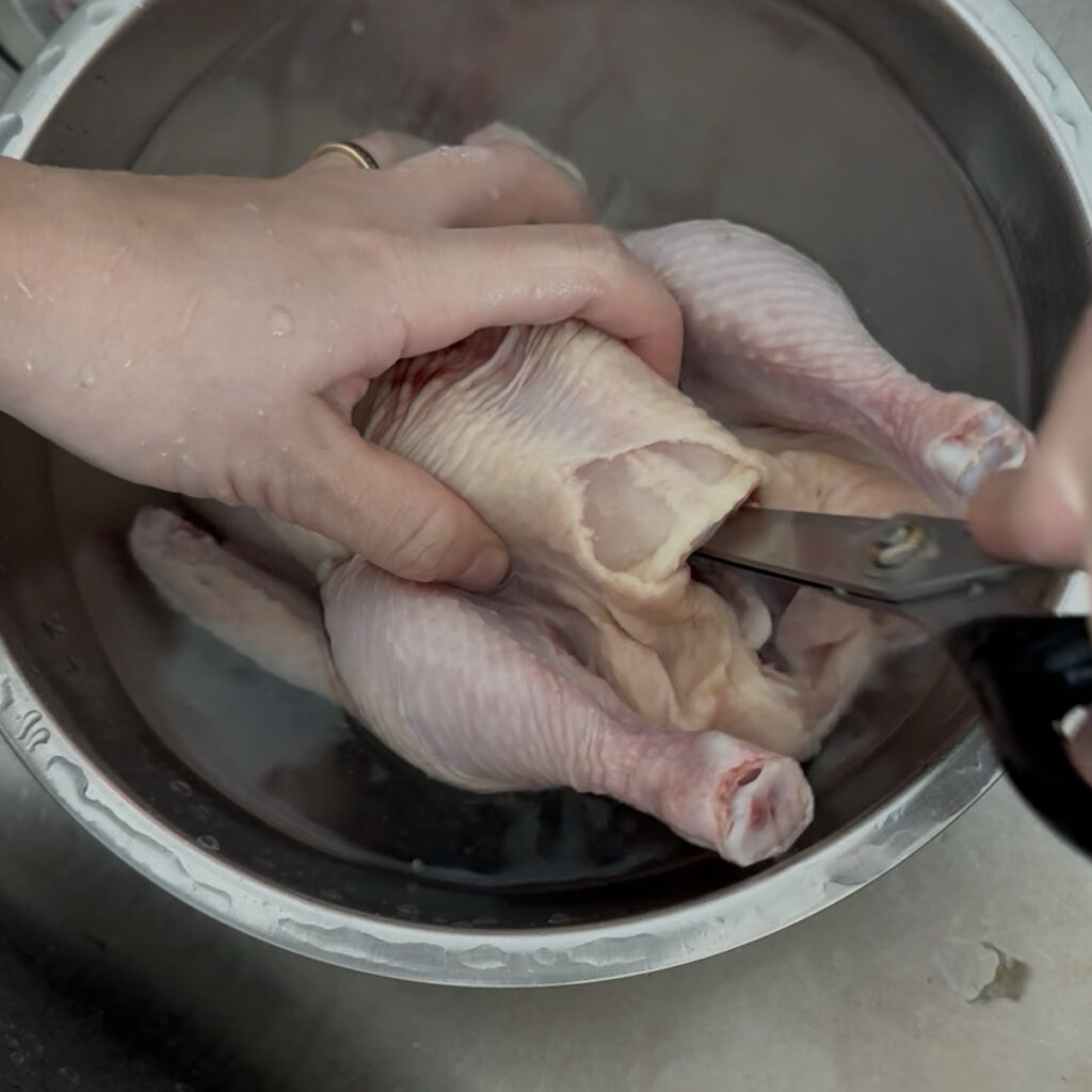 Cleaning the inside cavity of a whole chicken with kitchen shears before cooking.
