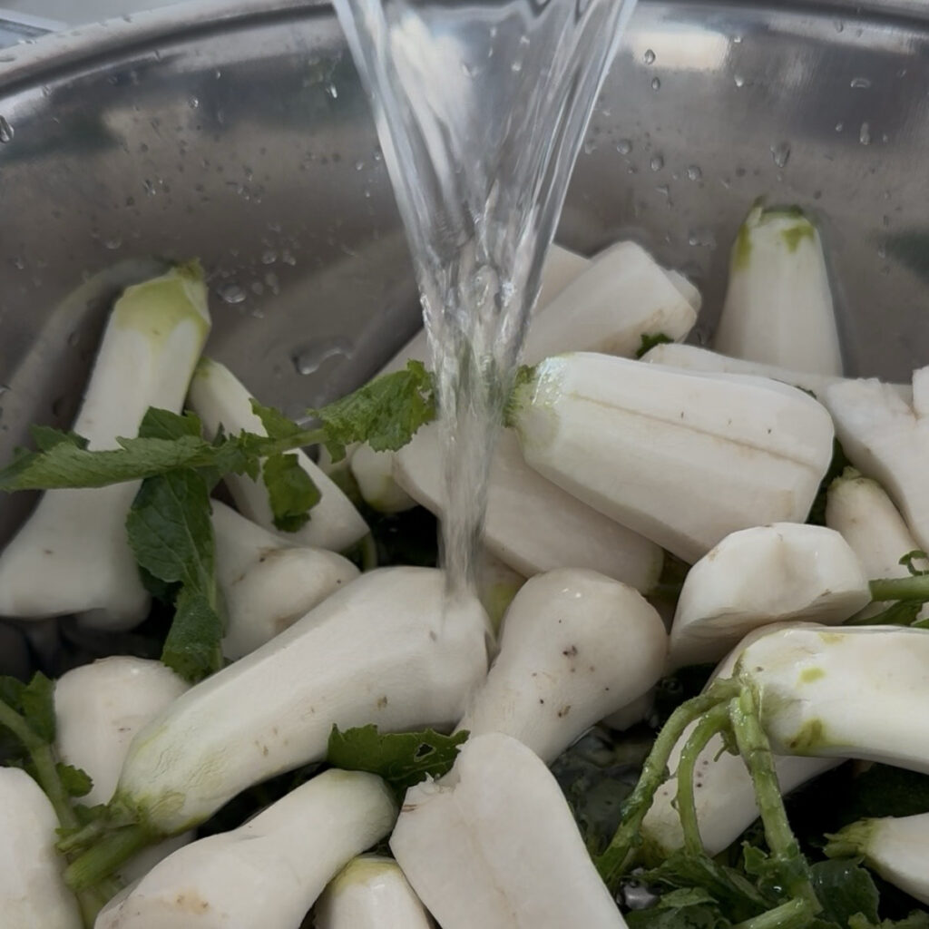 Young radishes soaking in salt water