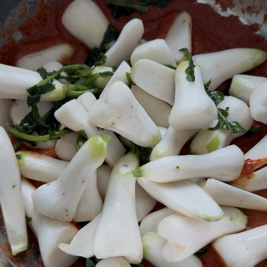 Coating young radishes with homemade kimchi seasoning